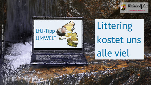 Littering kostet uns alle viel