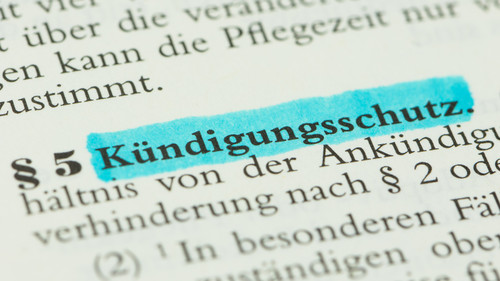 Fotoausschnitt Gesetzestext