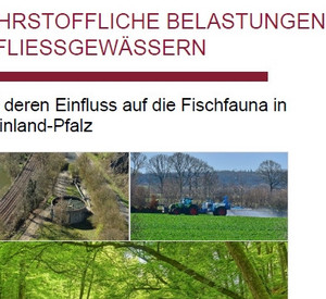 Titelblatt des LfU-Berichts "Nährstoffliche Belastungen in Fließgewässern"