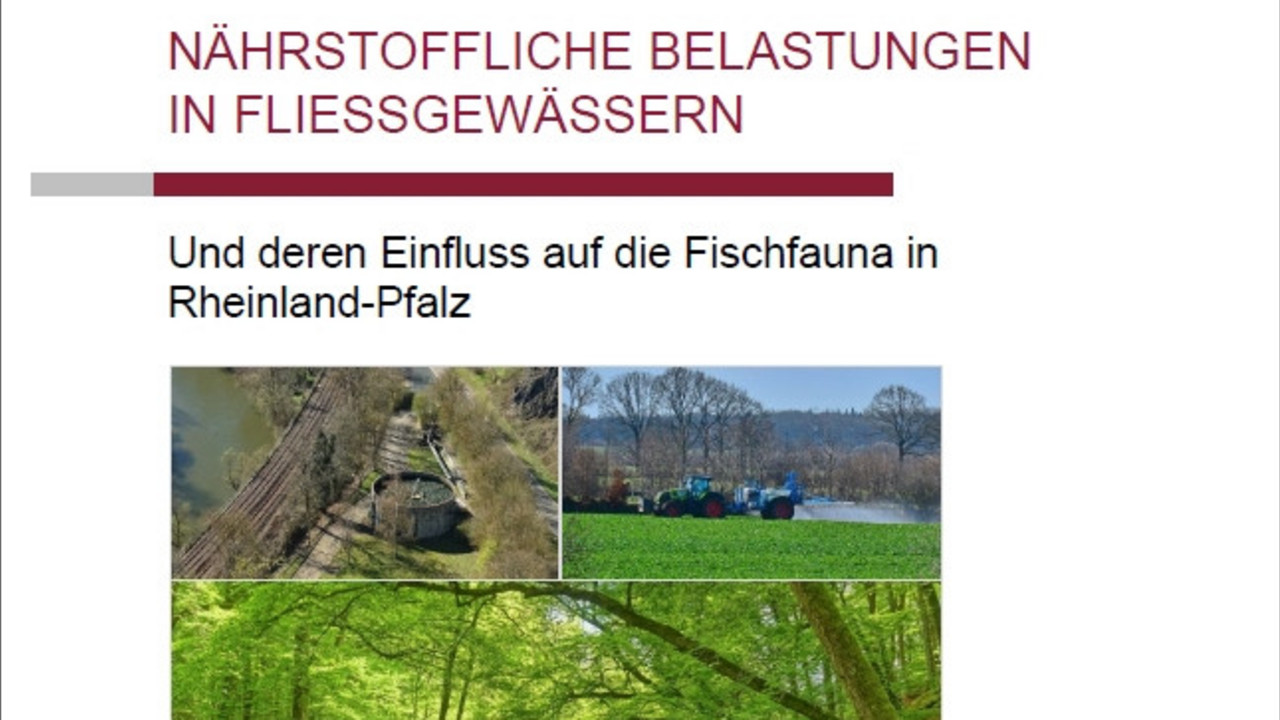 Titelblatt des LfU-Berichts "Nährstoffliche Belastungen in Fließgewässern"