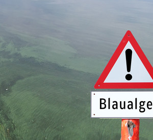 Symbolbild Blaualgen