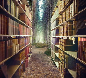 Symbolbild für Umwelztbibliothek; Fotomontage: Zwei lange mit Büchern gefüllte Regale; der Platz zwischen den Regalen zeigt einen Ausschnitt eines Waldwegs.
