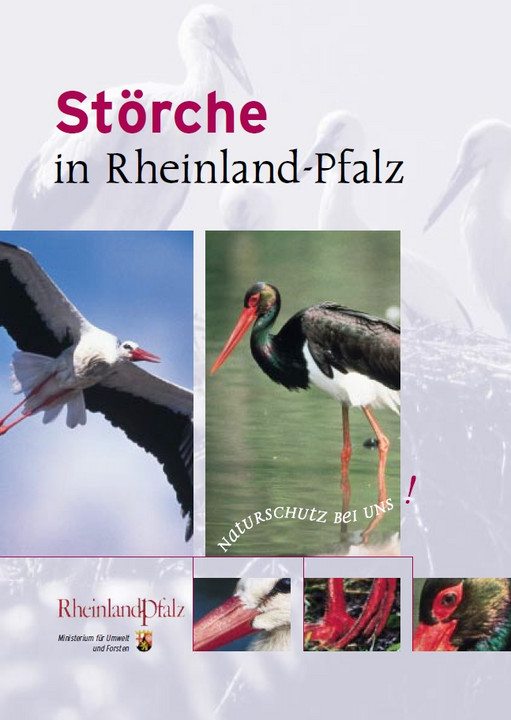 Titelblatt der Broschüre "Störche in Rheinland-Pfalz"