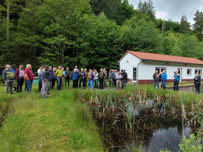 Bachpatentag im Eußerthal