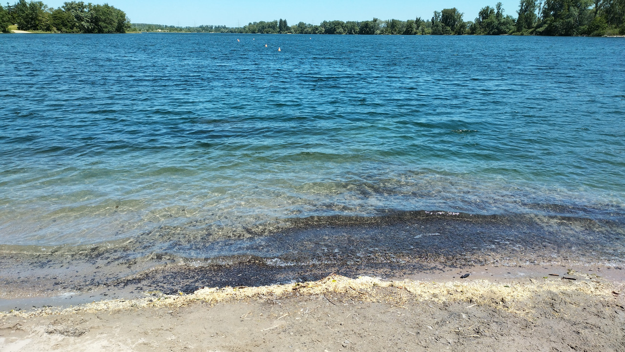 Blick auf den Kiesbaggersee vom Ufer aus.