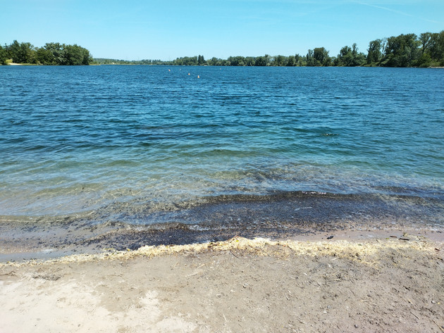 „2025 beste Wasserqualität in fast allen rheinland-pfälzischen Badeseen“
