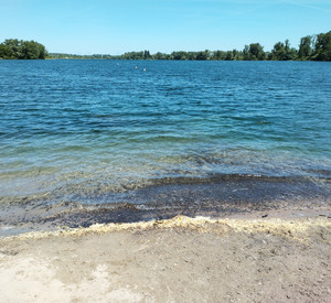 Blick auf den Kiesbaggersee vom Ufer aus.