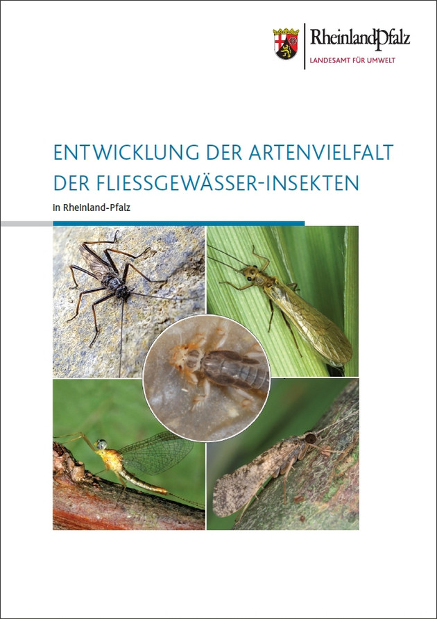  Entwicklung der Artenvielfalt der Fließgewässer-Insekten in Rheinland-Pfalz 