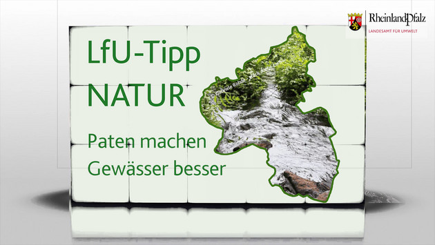 Bachpaten machen Gewässer besser