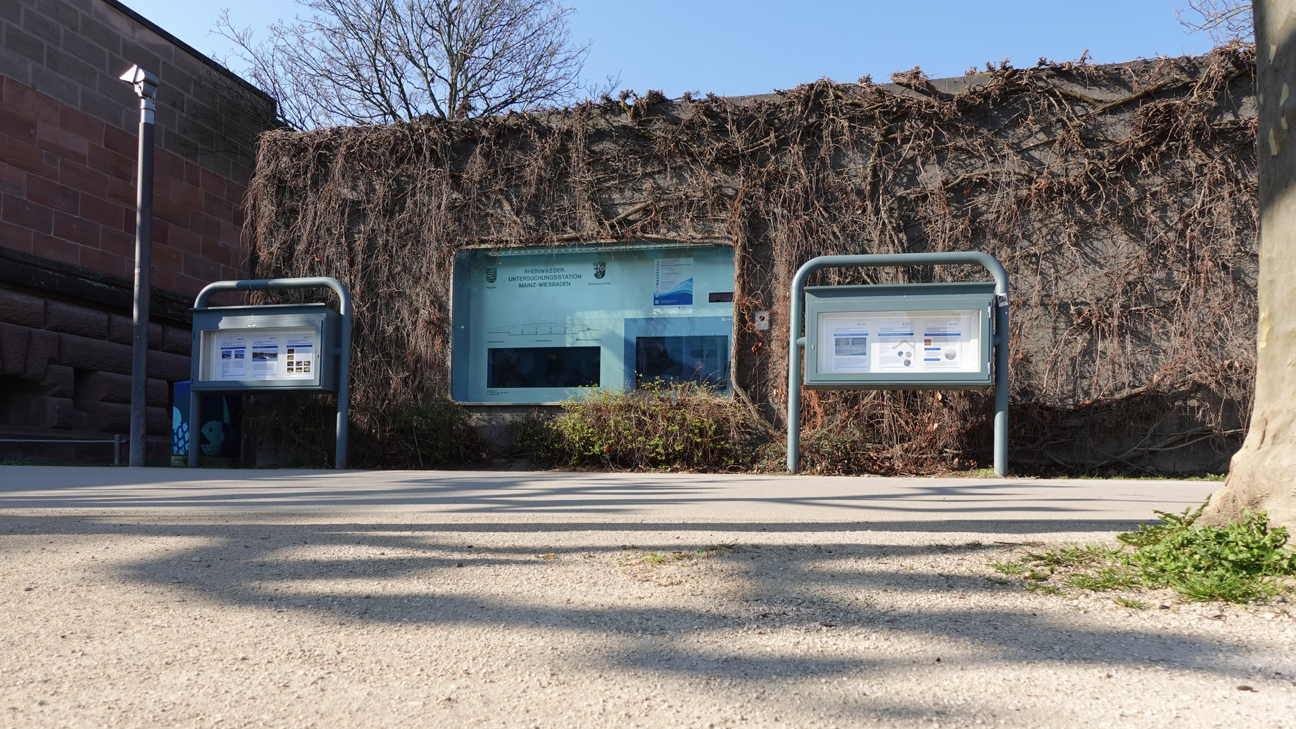 Rheinseite der Station mit Informationstafeln und in die Wand eingelassenem Aquarium