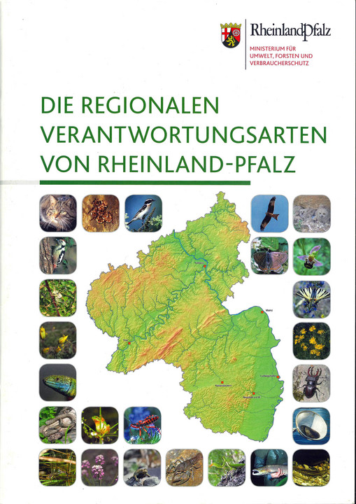 Titelblatt Die regionalen Verantwortungsarten von Rheinland-Pfalz