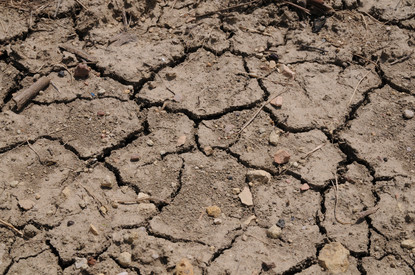 Ausgetrockneter Boden