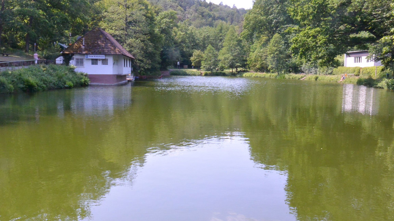 Blick auf den Bärenlochweiher