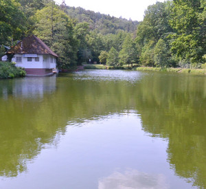 Blick auf den Bärenlochweiher