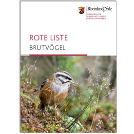 Titelfolie Vortrag Rote Liste Brutvögel
