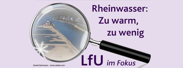 Folgen von Hitze und Niedrigwasser im Rhein