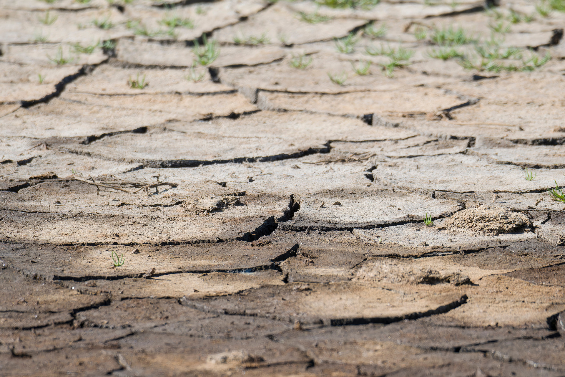 Symbolbild Trockenheit
