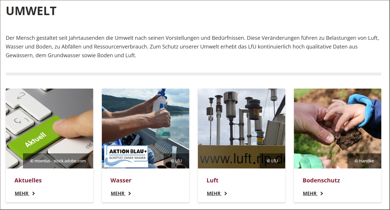 Screenshot des Untermenüs "Umwelt"