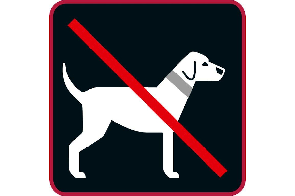 Hunde verboten (01b)