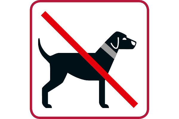 Hunde verboten (01b)